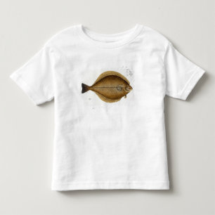 Dab (Pleuronectes Limanda) plate XLVI from 'Ichthy Toddler T-Shirt