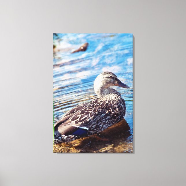 Dabbling Ripples Canvas Print (Front)