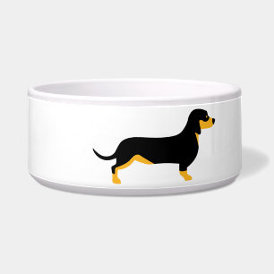 Dachshund