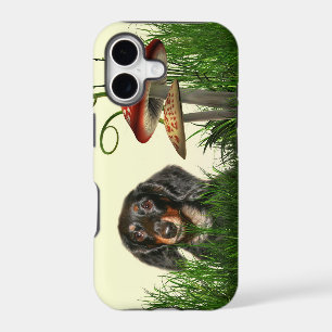 Dachshund