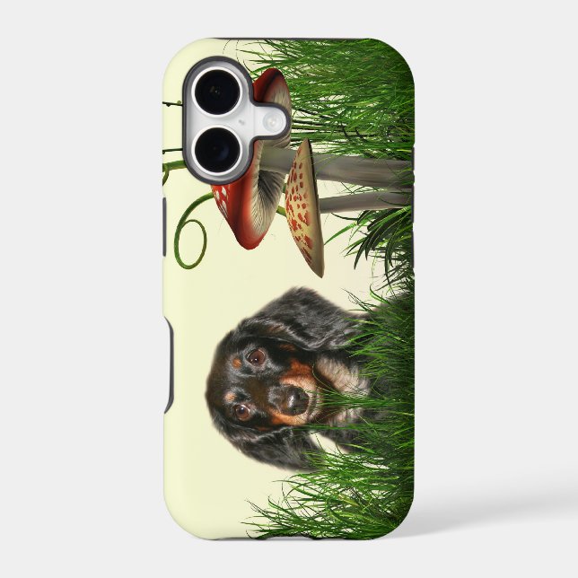 Dachshund (Back)