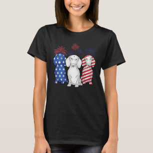 Dachshund 4th Of July American Flag Dog Lovers Men T-Shirt