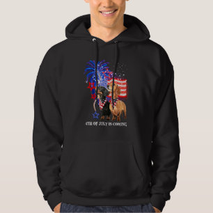 Dachshund 4th Of July Is Coming American Flag Patr Hoodie