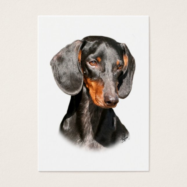 Dachshund 9Y420D-096a (Front)