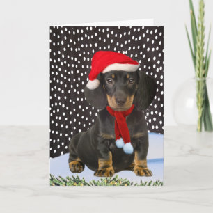 Dachshund A Snow Day Christmas Card