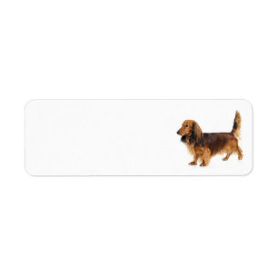 Dachshund Address Label