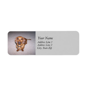 Dachshund Address Labels