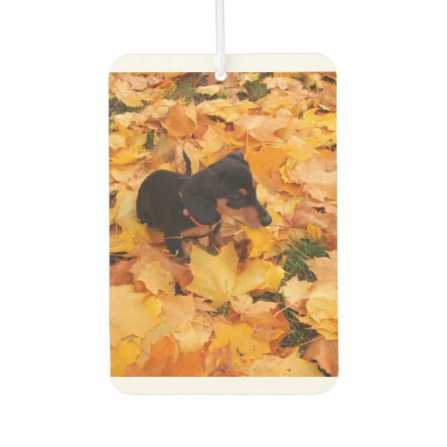 Dachshund airfreshener car air freshener (Front)