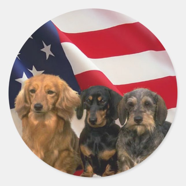 Dachshund America Sticker (Front)