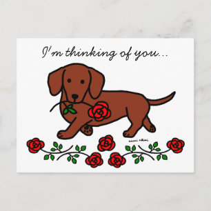 Dachshund and a flower cartoon postcard