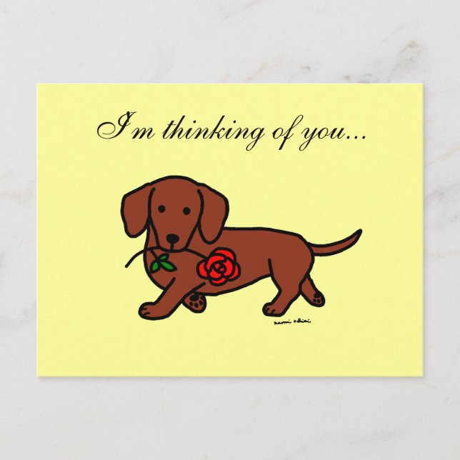 Dachshund and a flower cartoon postcard (Front)