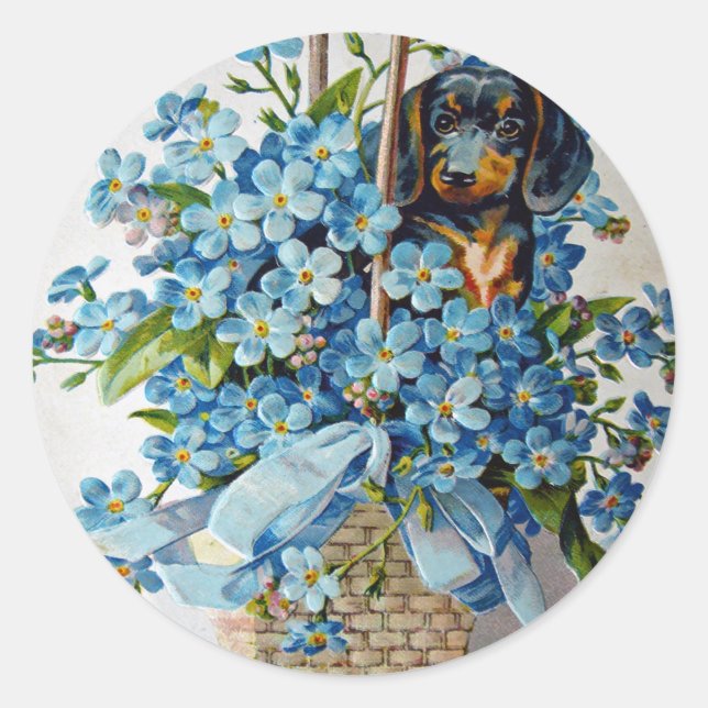 Dachshund and Forget-Me-Nots Classic Round Sticker (Front)