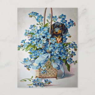 Dachshund and Forget-Me-Nots Postcard