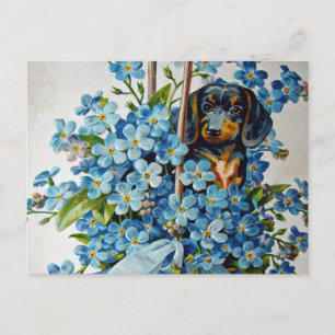 Dachshund and Forget-Me-Nots Postcard