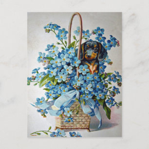 Dachshund and Forget-Me-Nots Postcard