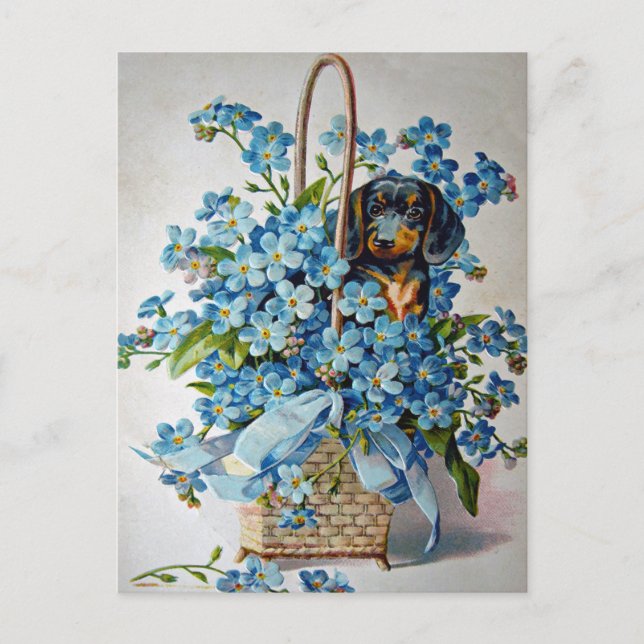 Dachshund and Forget-Me-Nots Postcard (Front)