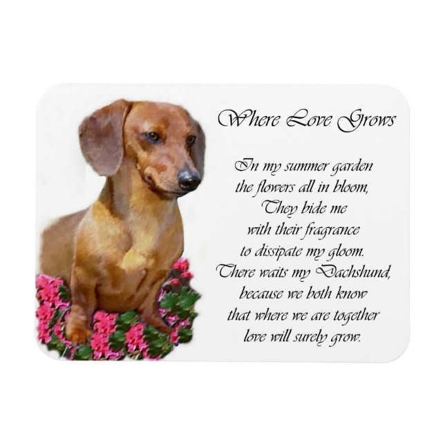 Dachshund Art Gifts Magnet (Horizontal)