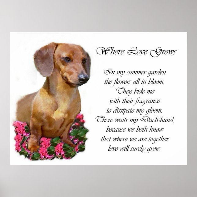 Dachshund Art Prints (Front)