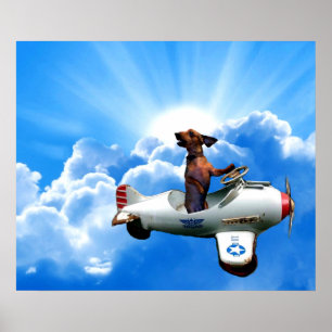 "Dachshund Aviator" by Zermeno Poster
