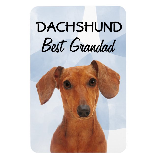 Dachshund Best Grandad Magnet (Vertical)