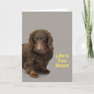 Dachshund Birthday Card