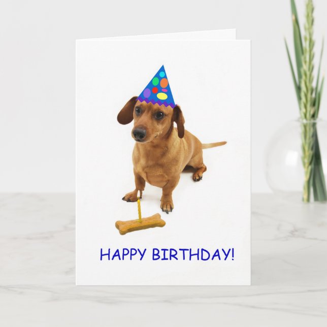 Dachshund Birthday Card by Focus for a Cause (Front)