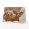 Dachshund Birthday Card by Focus for a Cause