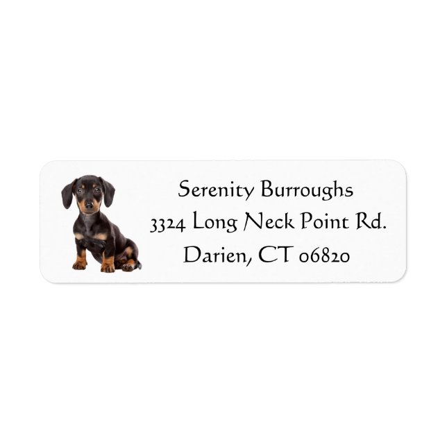 Dachshund Black And Brown Puppy Dog Personalised (Front)