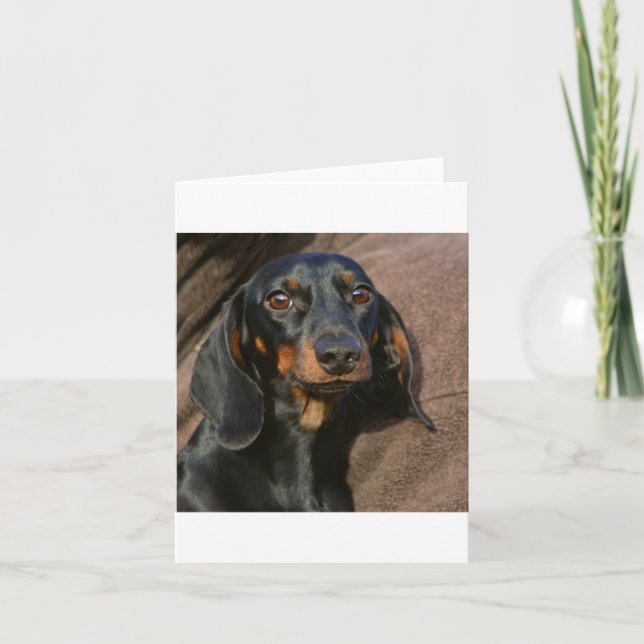 dachshund black and tan card (Front)