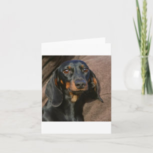 dachshund black and tan card