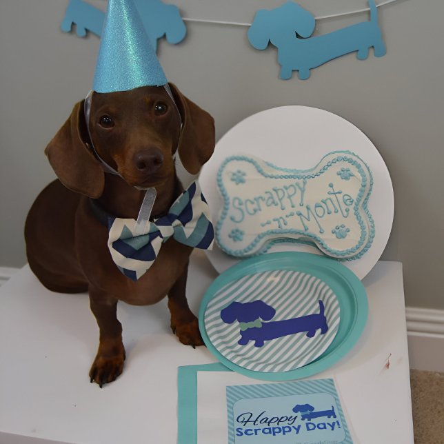 Dachshund Blue Wiener Dog Party Paper Plates (Blue Dachshund party paper plates for barkday parties, gotcha day celebrations or birthday fun!)