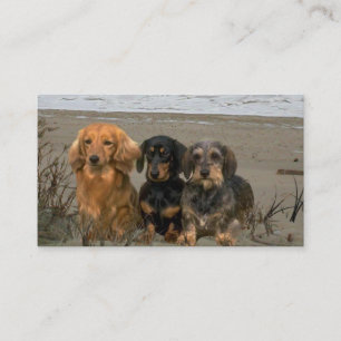 Dachshund Breeder Business Card