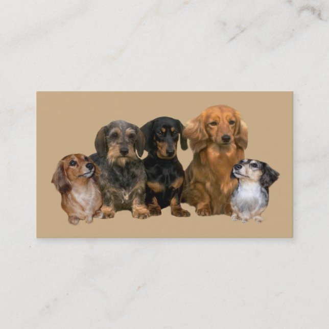 Dachshund Breeder Business Card (Front)
