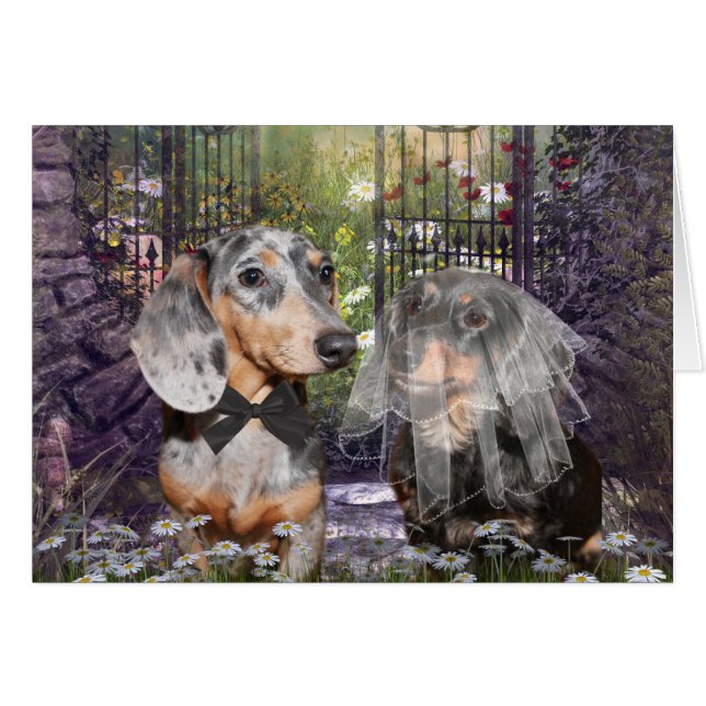 Dachshund bride and groom (Front Horizontal)
