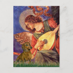 Dachshund (brown1) - Mandolin Angel Postcard