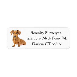 Dachshund Brown Puppy Dog Black Personalised
