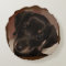 Dachshund Brushed Poly Round Throw Pillow (16")
