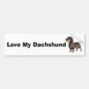 Dachshund Bumper Sticker