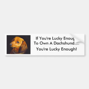 Dachshund Bumper Sticker