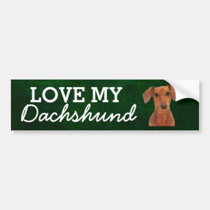 Dachshund bumper sticker