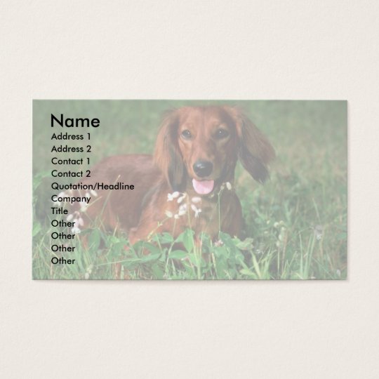 Dachshund Business Card