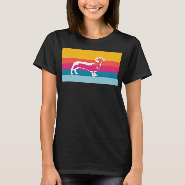 Dachshund by colorful stripes T-Shirt (Front)
