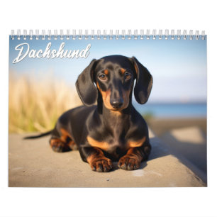Dachshund Calendar