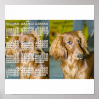 Dachshund Calendar 2011 Poster