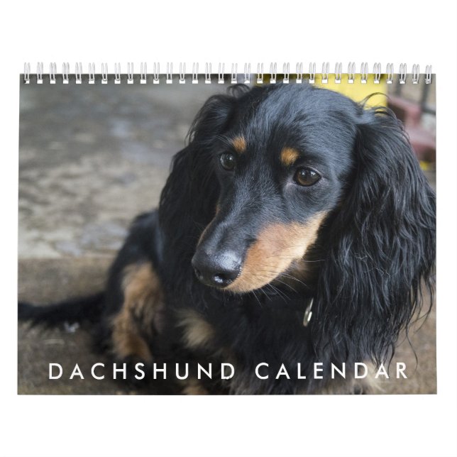 Dachshund Calendar 2016 (Cover)
