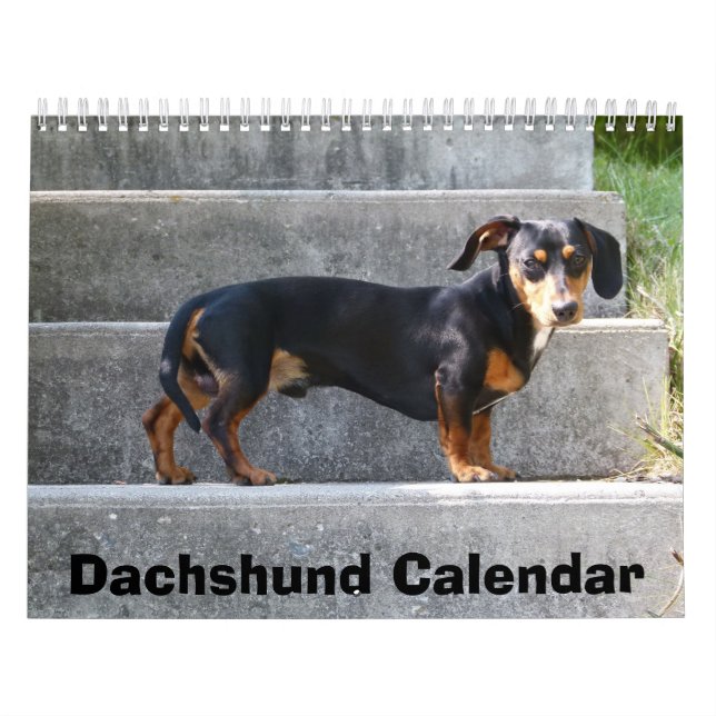 Dachshund Calendar 2016 Add Your Photos (Cover)