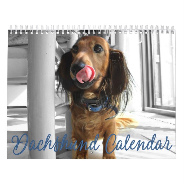 Dachshund Calendar 2023 Customised Photos (Cover)