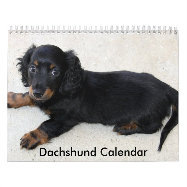Dachshund Calendar 2023 Personalised Photos (Cover)