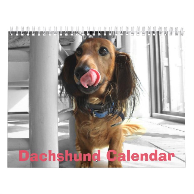 Dachshund Calendar 2026 Add Your Photos (Cover)