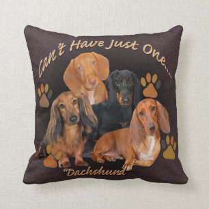 Dachshund Can't Have Just One Pillow